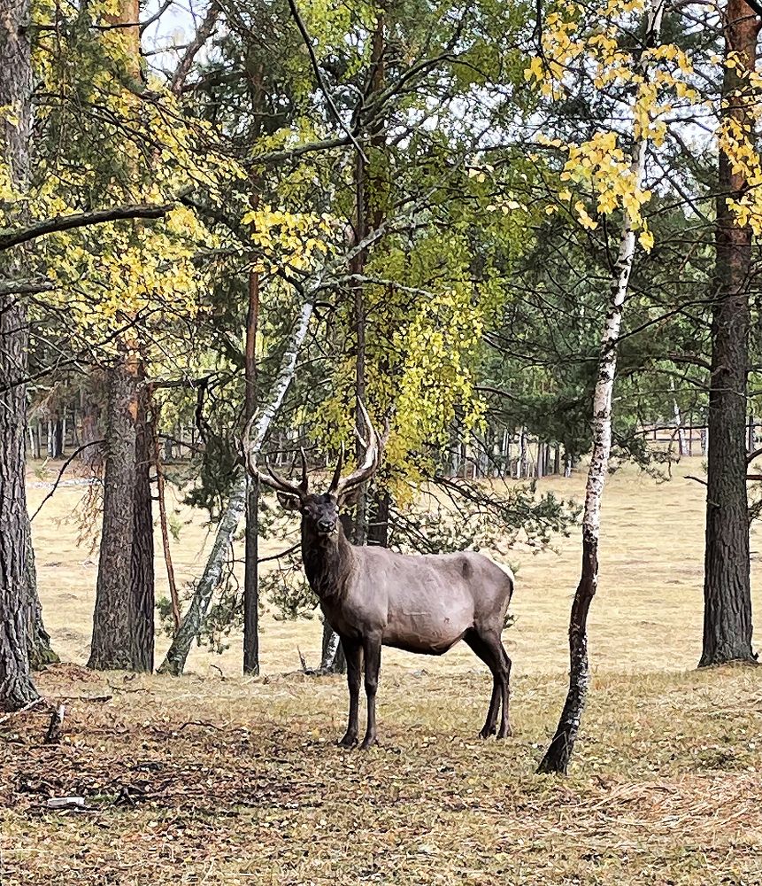 Photograph by Алексей Патлах