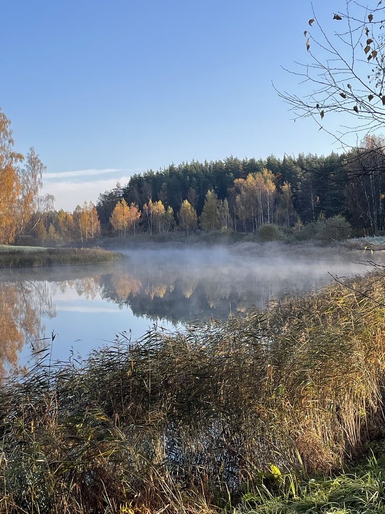 Photograph by Людмила Удальцова
