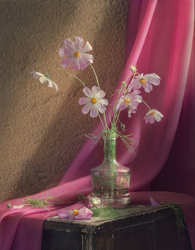 Photograph by Елена Рубинская