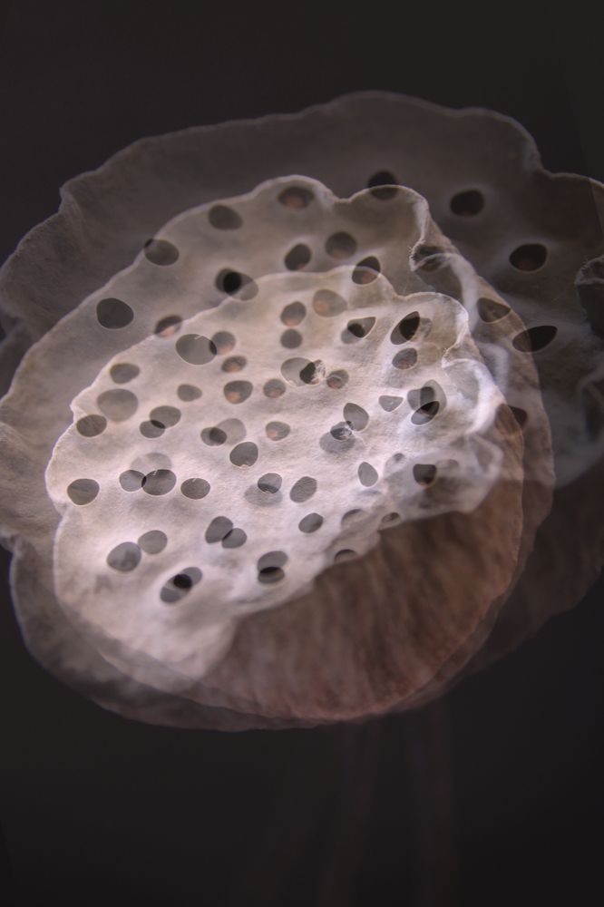 Photograph by Екатерина Кузнецова