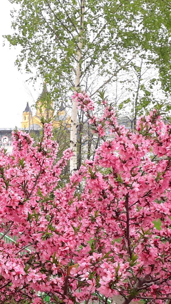 Photograph by Блюмина Елена