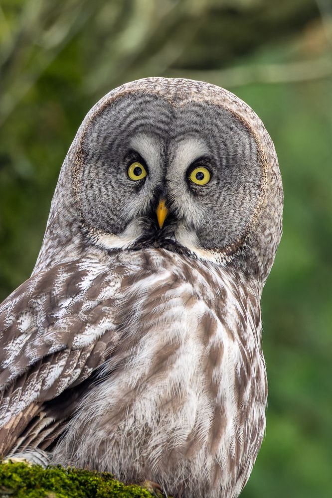 Photograph by Вера Машина