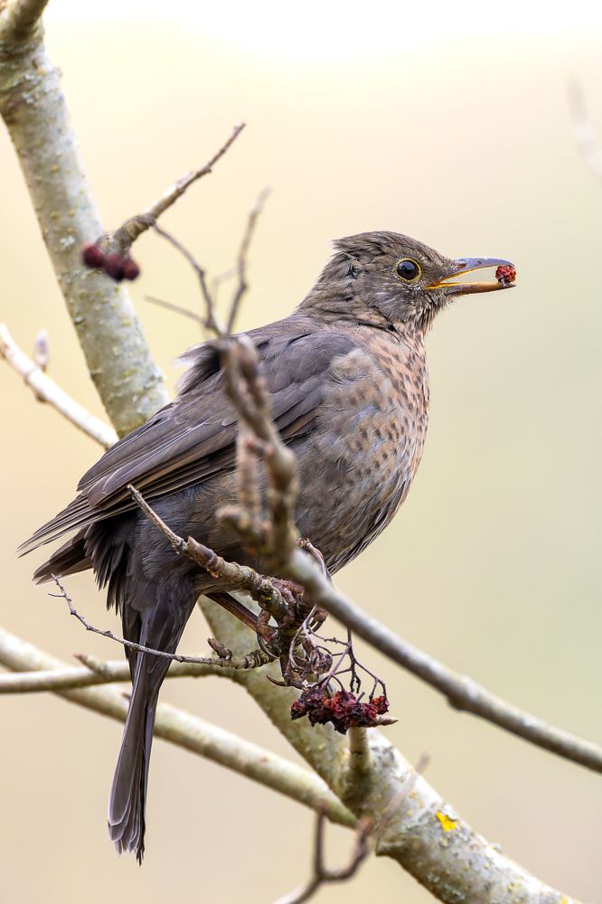 Photograph by Вера Машина