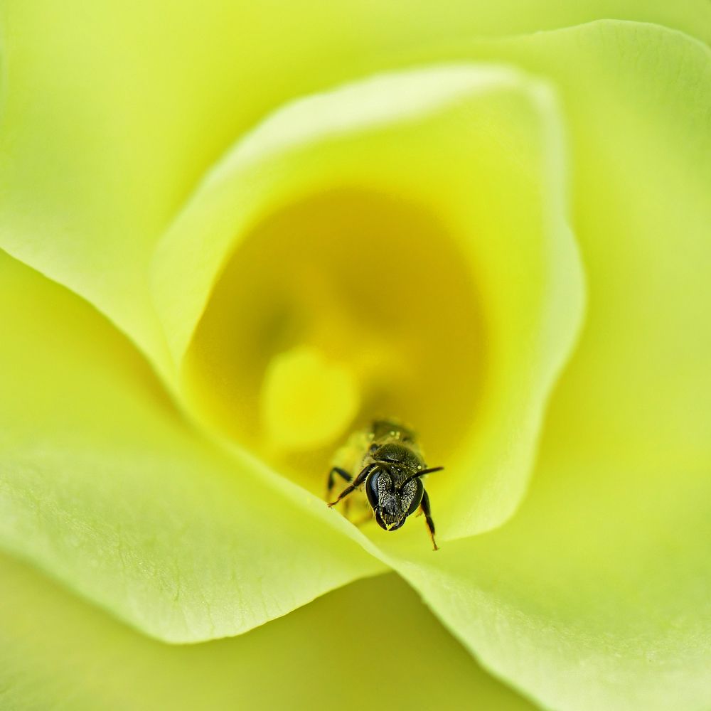 Photograph by Benjamine Dharashan