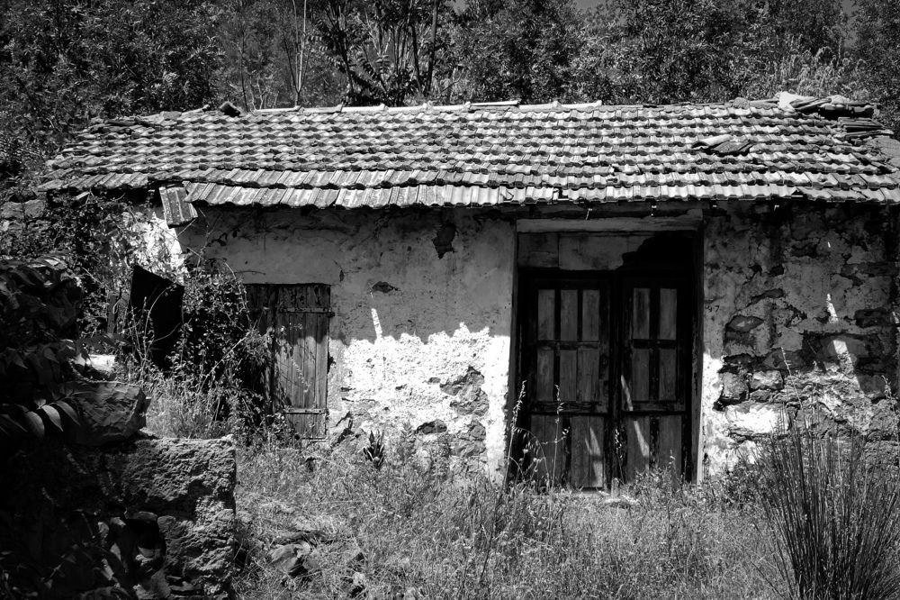 Middle of the savage nature