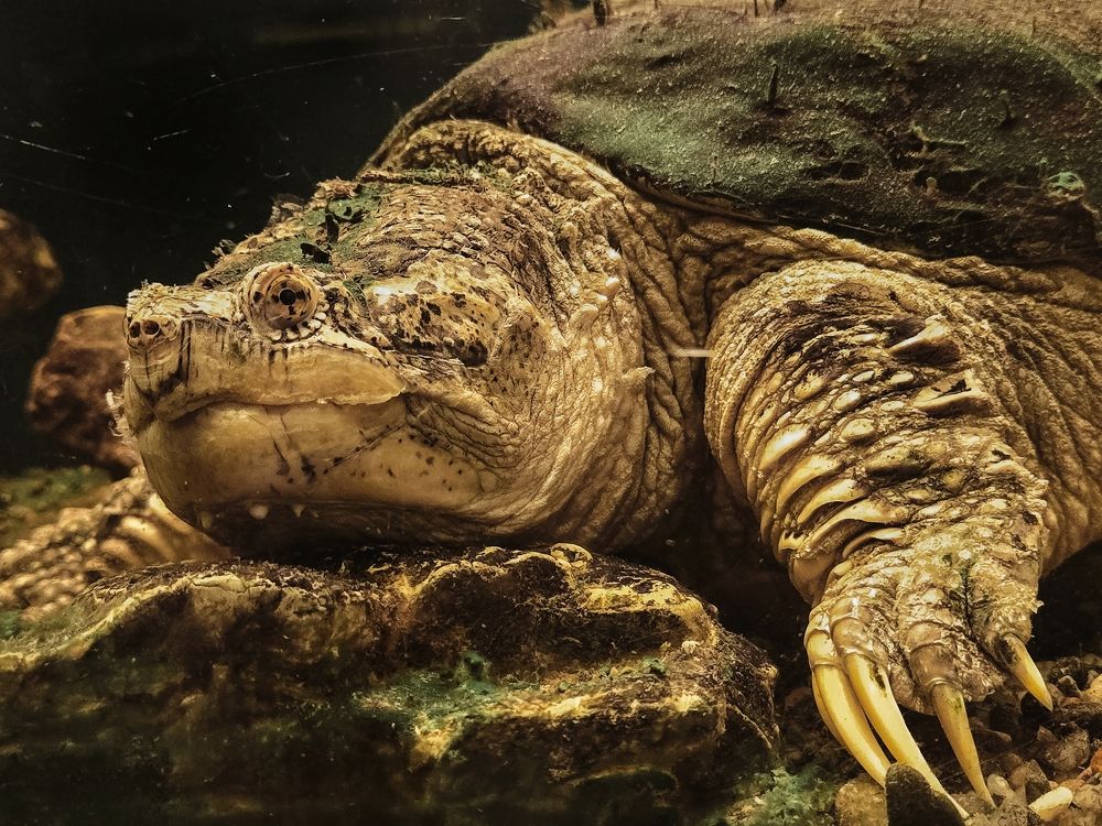 Photograph by Игорь Кабанов