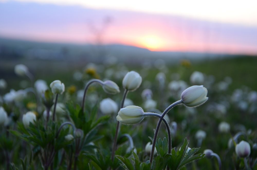 Photograph by Людмила Воропаева