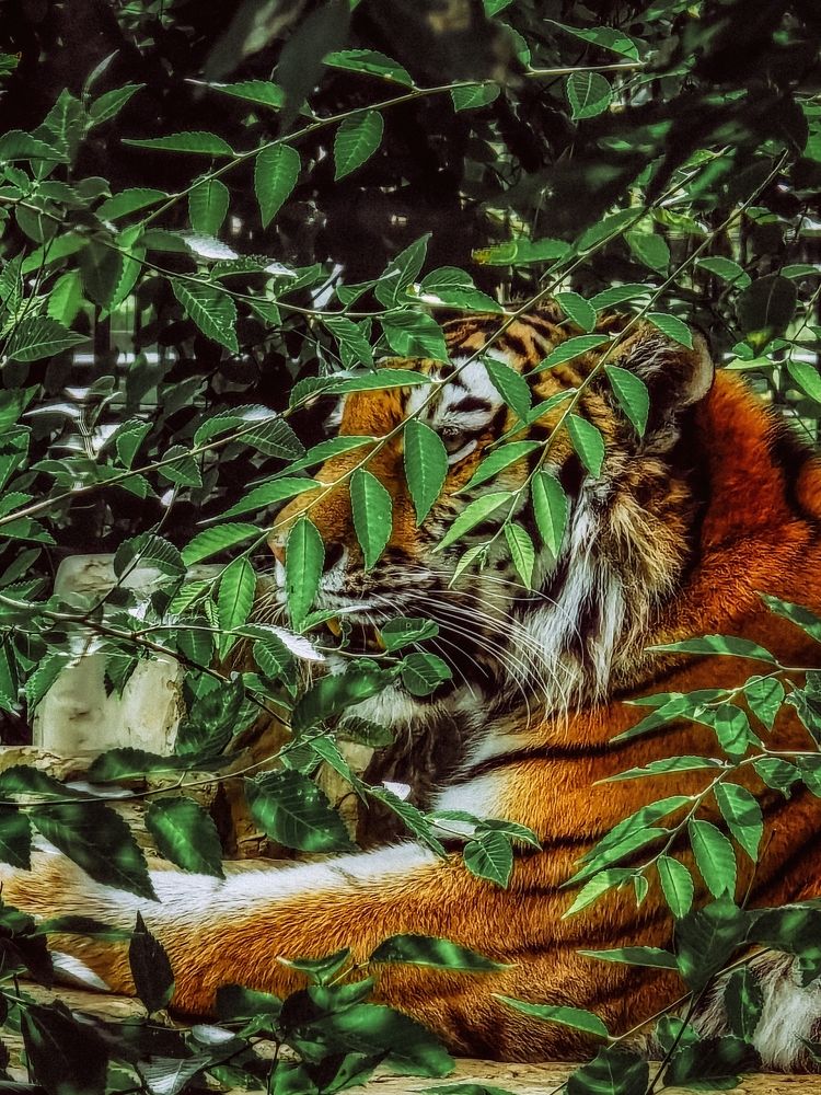 Photograph by Игорь Кабанов