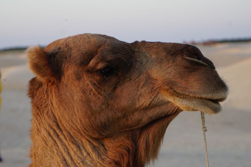 Photograph by сергей мишаков