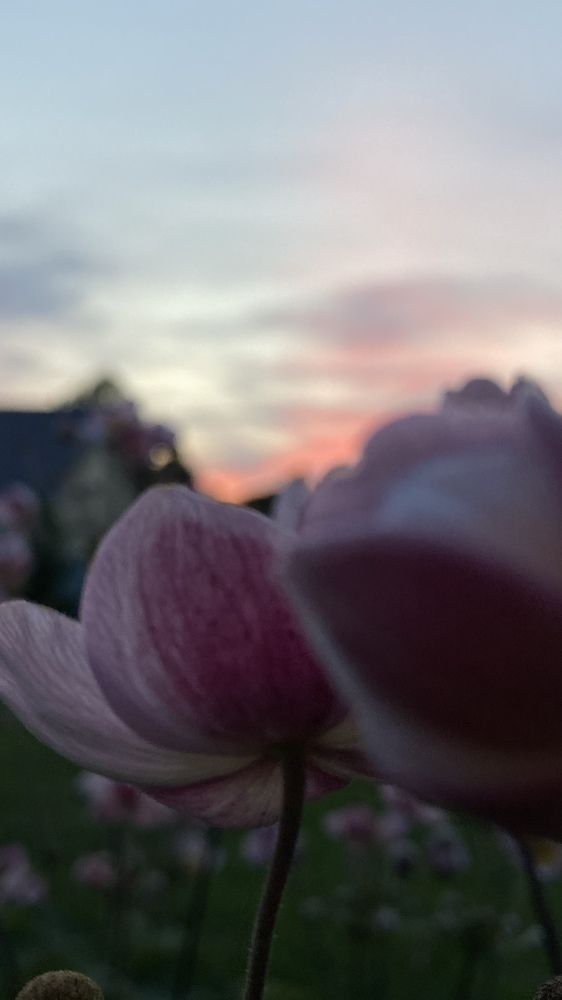 Photograph by Анна Кулакова