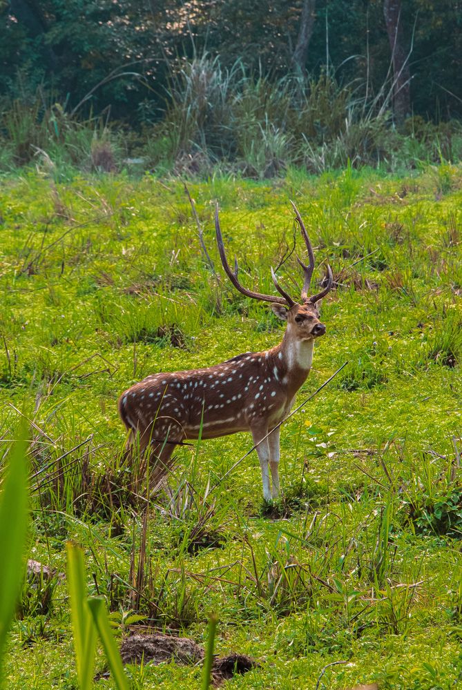 Photograph by the raaz photojourney