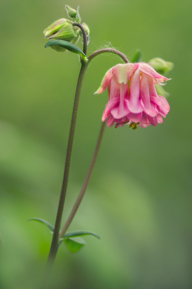 Photograph by Тараненко Анжелика