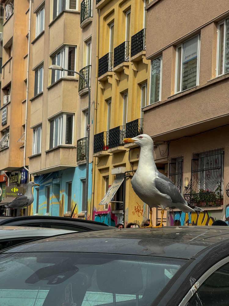 Photograph by Екатерина Мирошникова