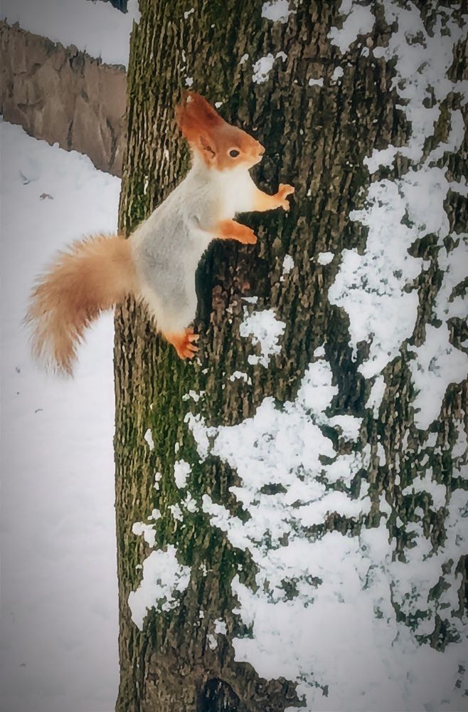 Photograph by Mishel Photographer