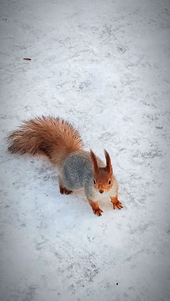 Photograph by Mishel Photographer