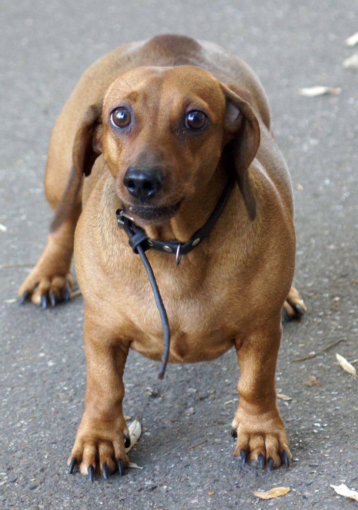 Photograph by Игорь Пшеничников