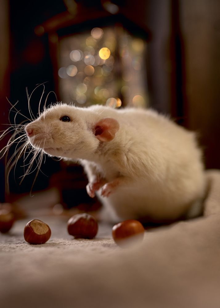 Photograph by Екатерина Каминская