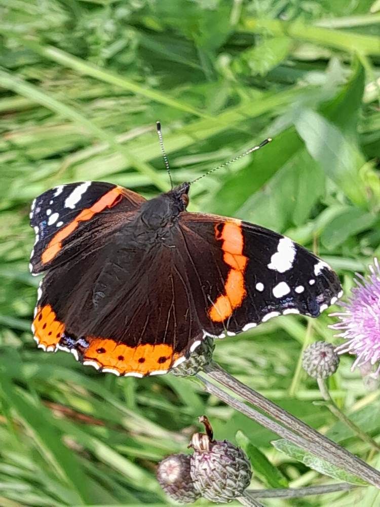 Photograph by Виталий