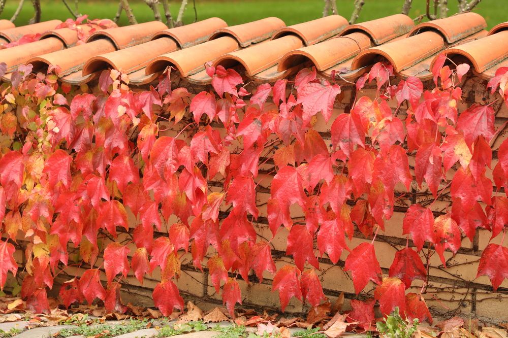 Photograph by Валерия Маркова