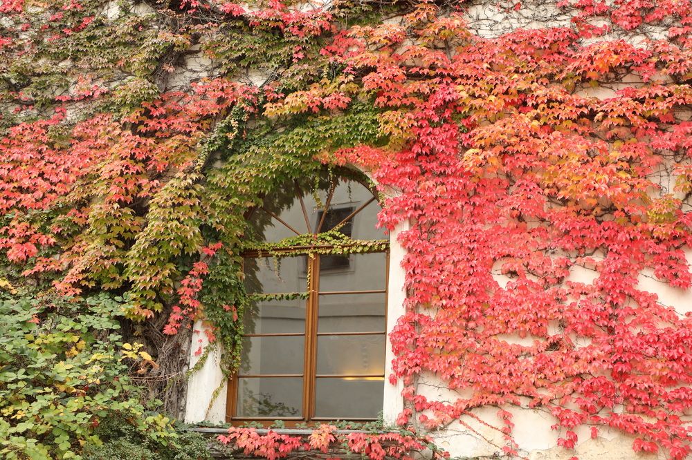 Photograph by Валерия Маркова