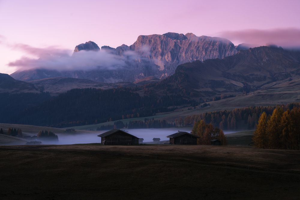 Photograph by SiyuanLu