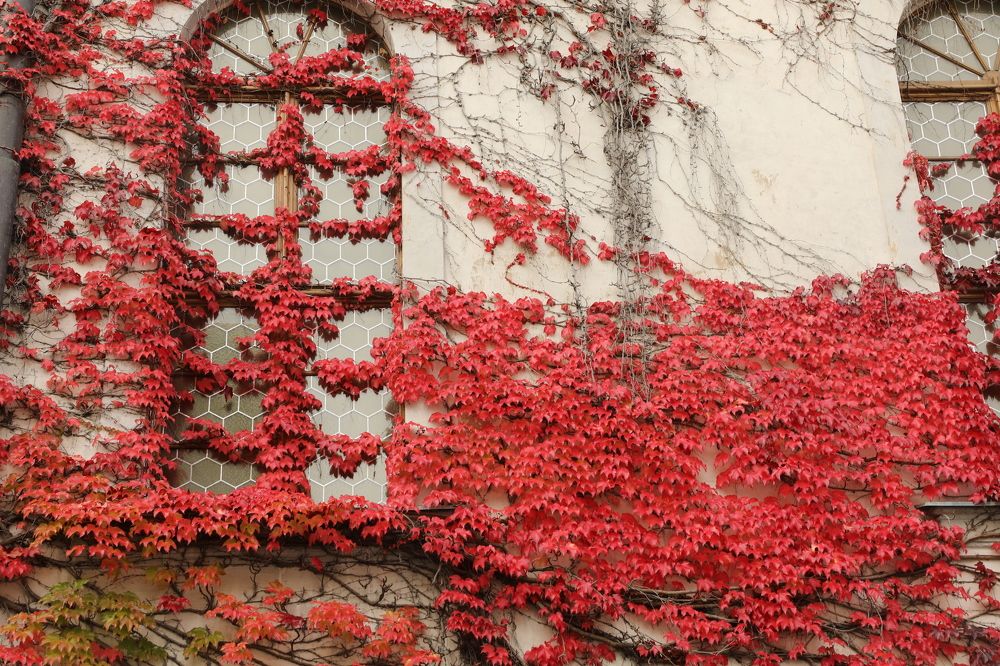 Photograph by Валерия Маркова