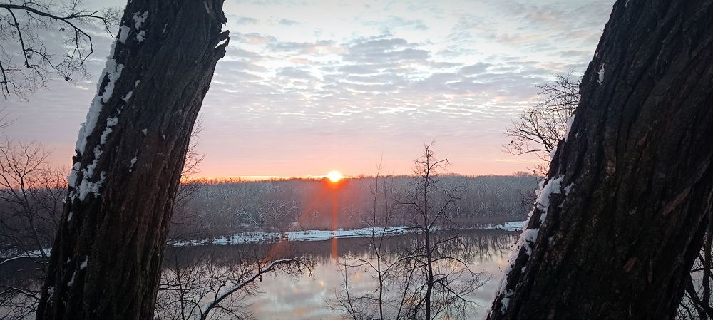 Photograph by Mishel Photographer