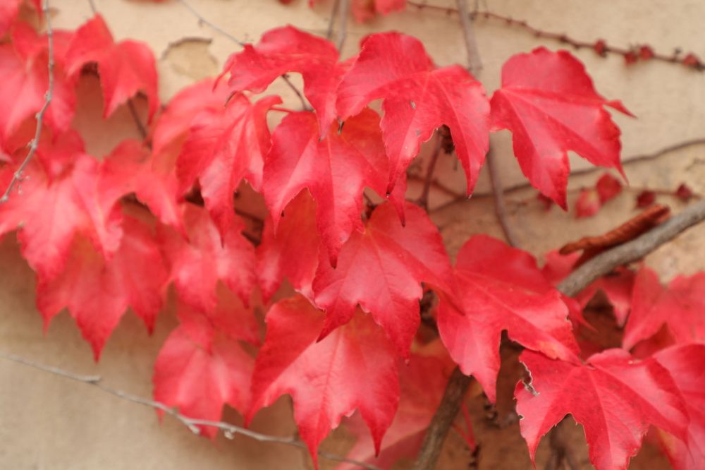 Photograph by Валерия Маркова