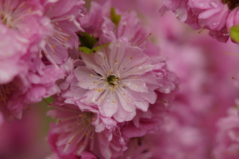 Photograph by Ольга Слугина