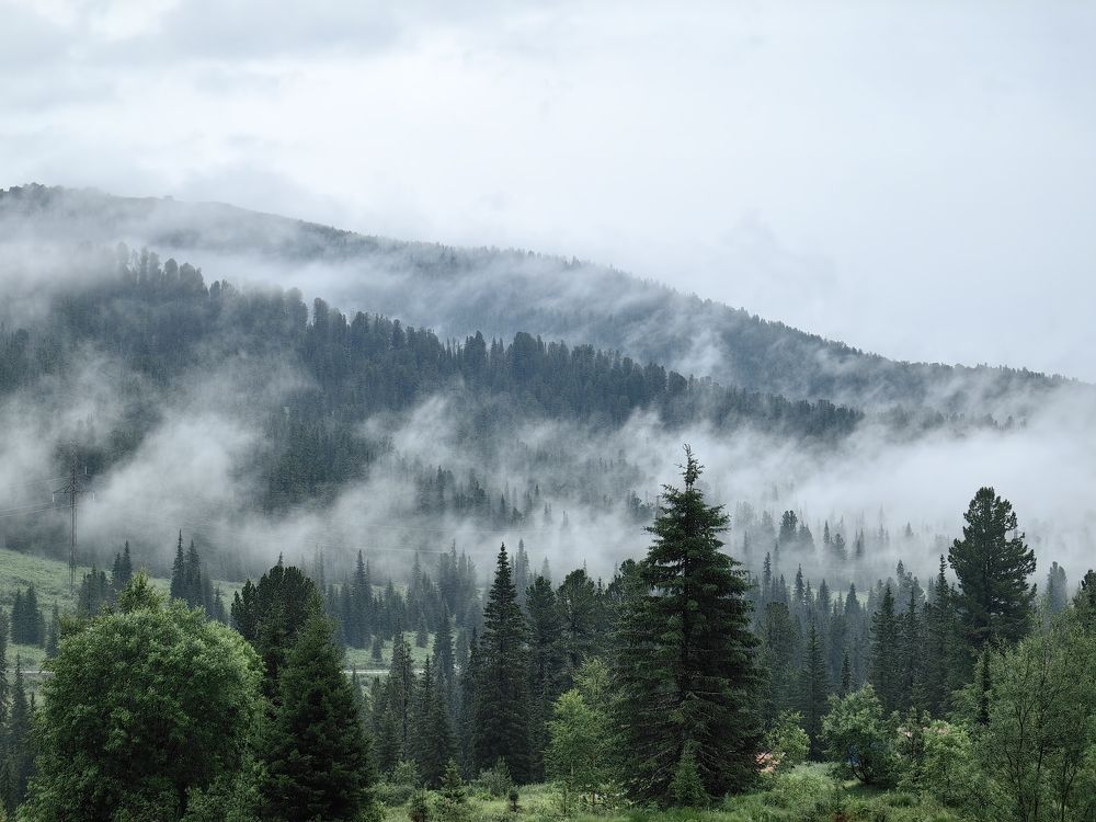 Photograph by OLGA MIKHNEVICH