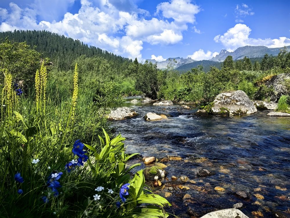 Photograph by OLGA MIKHNEVICH