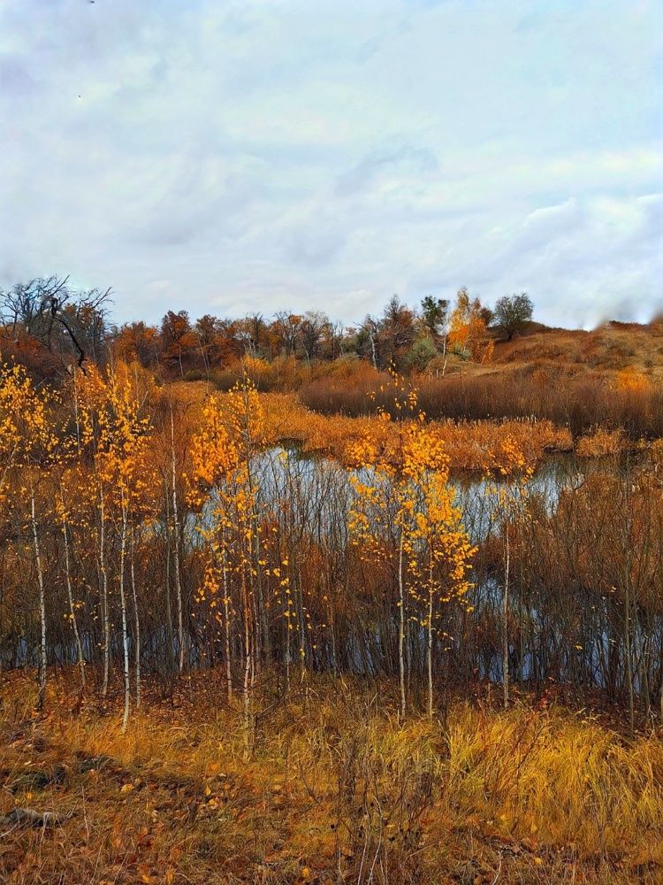 Photograph by Марина Мальцева