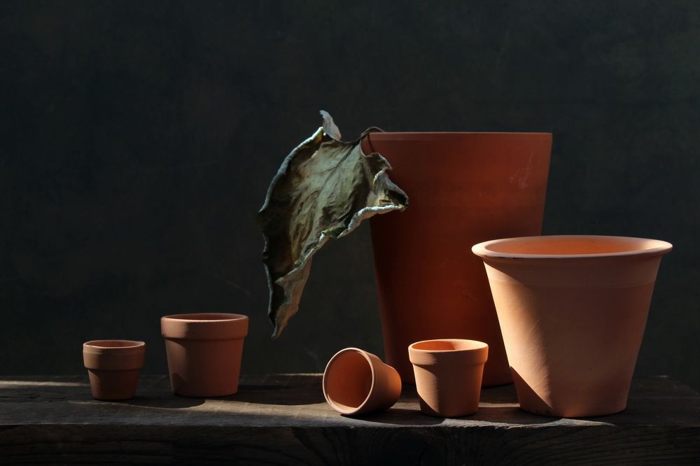 Photograph by Сироткина Нина