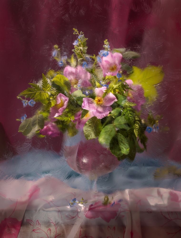 Photograph by Сушкевич Светлана