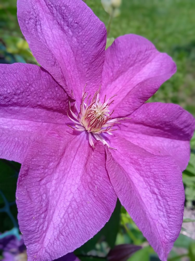 Photograph by Наталья Сорокина