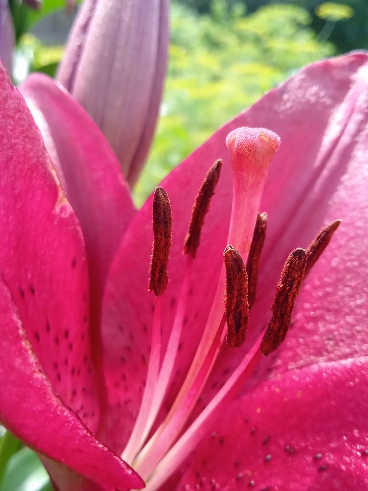 Photograph by Наталья Сорокина