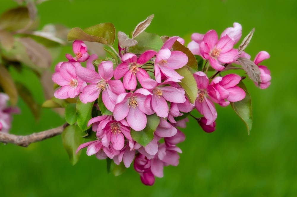 Photograph by Андрей Давыдов