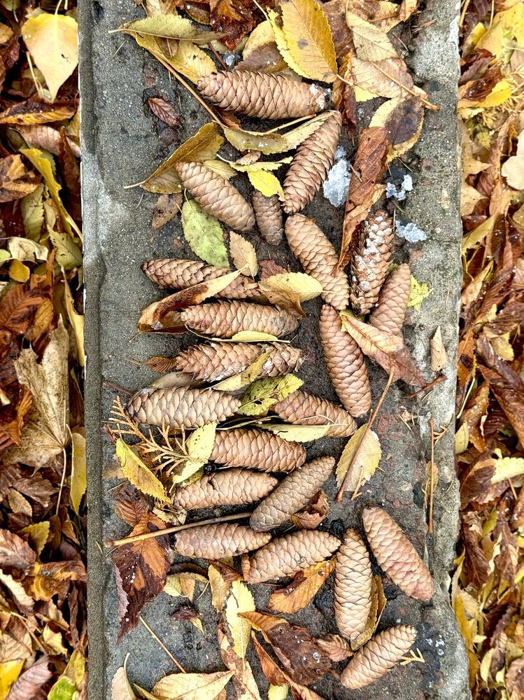 Фотография автора Ирина Бакалова