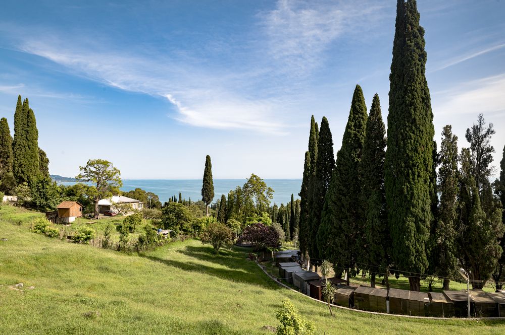 Photograph by Алексей Петров