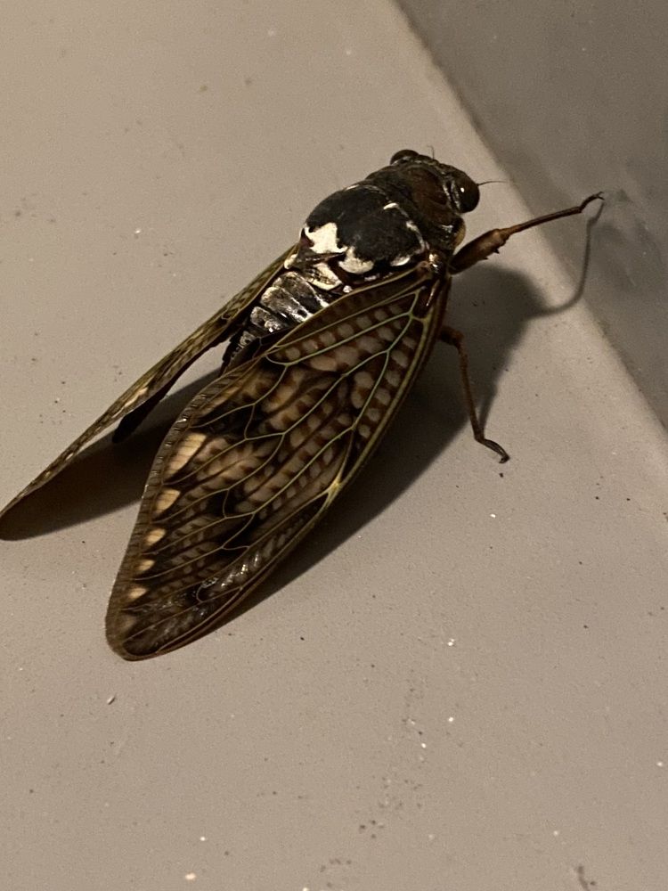 Фотография автора Ирина Бакалова