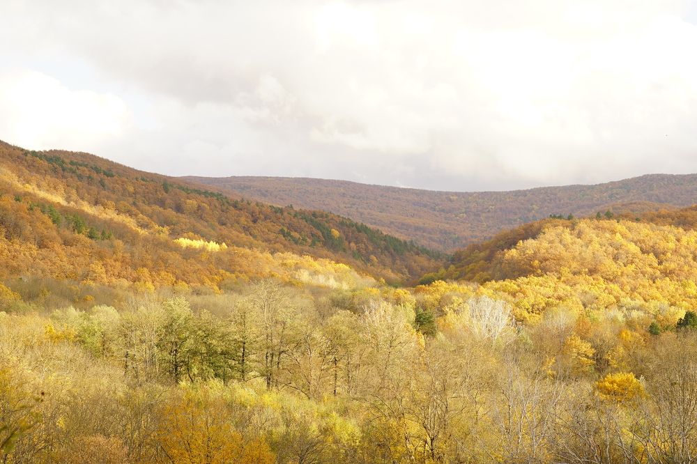 Photograph by Ирина Гусева