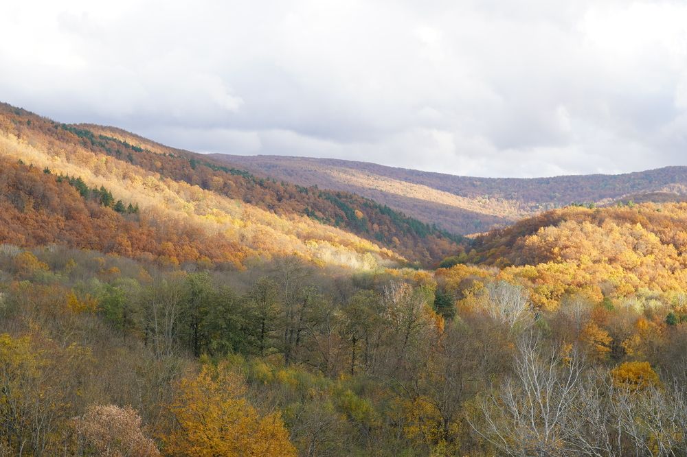 Photograph by Ирина Гусева