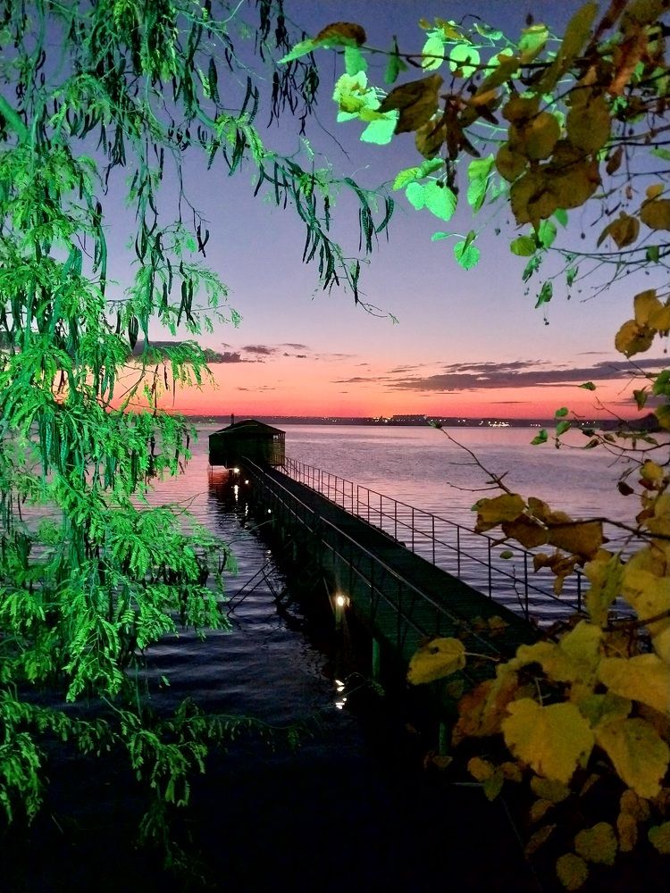 Photograph by Бойкова Наталия