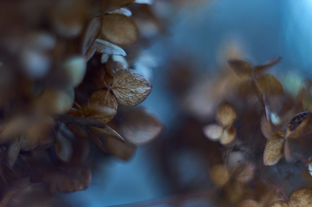 Photograph by Михаил