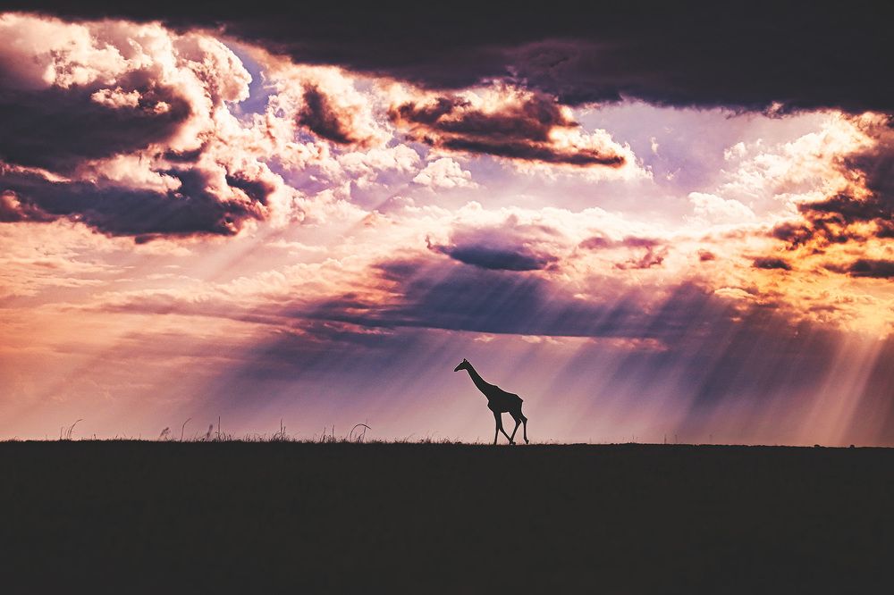 Фотография автора Sudipta Chakraborty