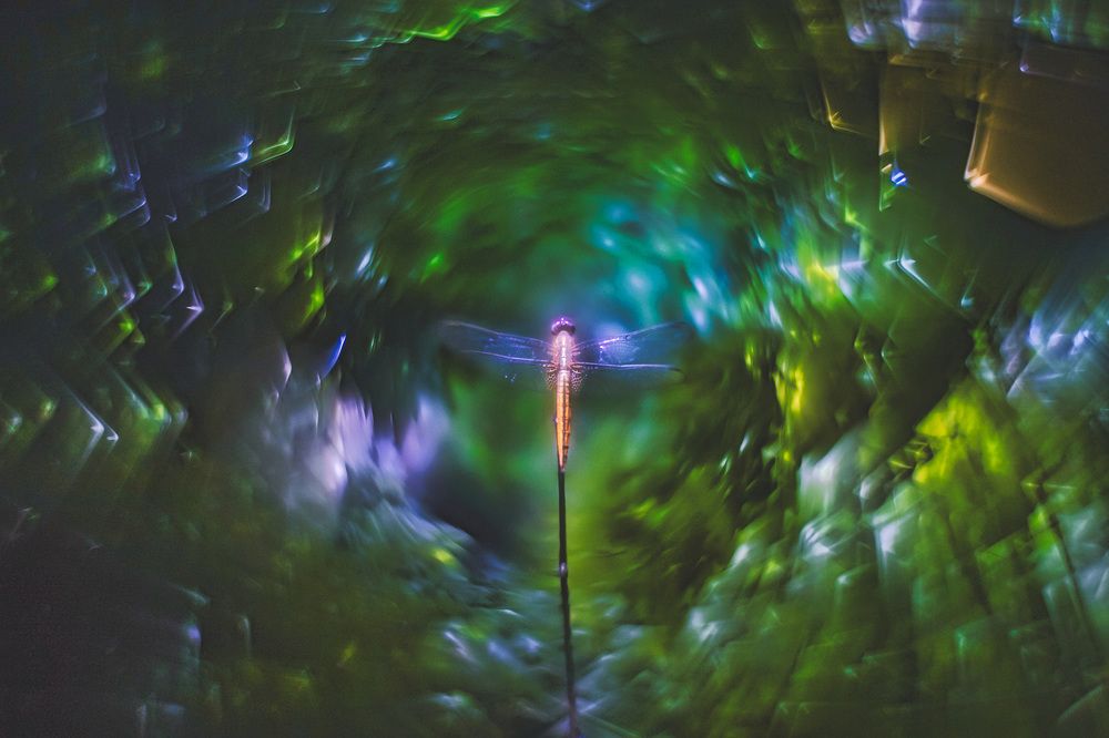 Фотография автора Sudipta Chakraborty