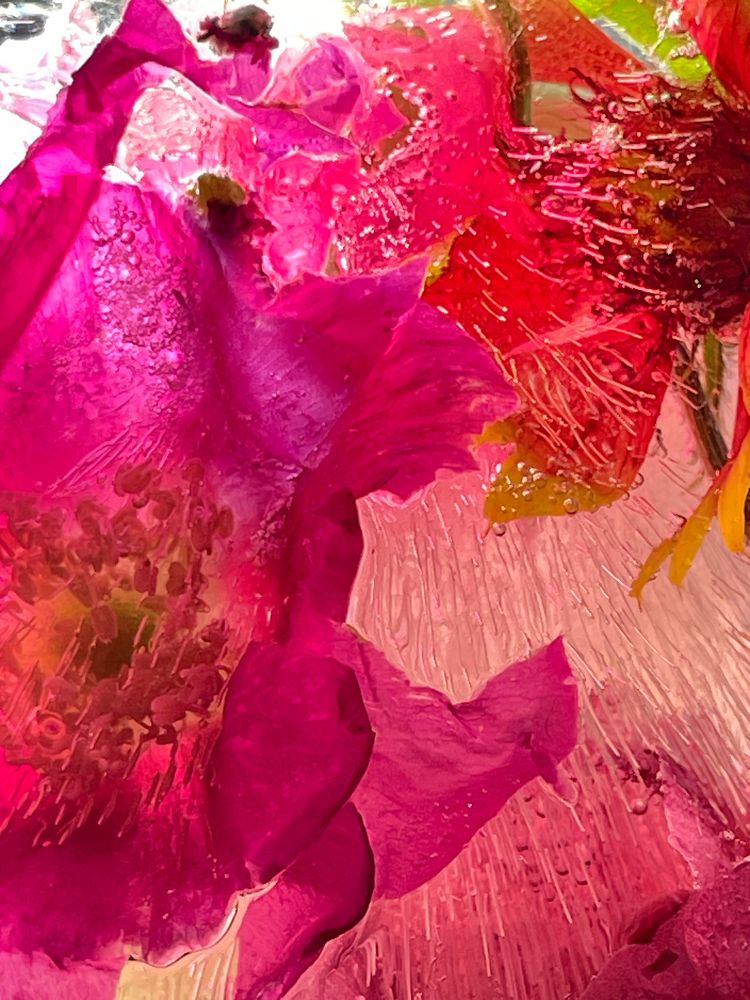 Photograph by Nadya Sterligova