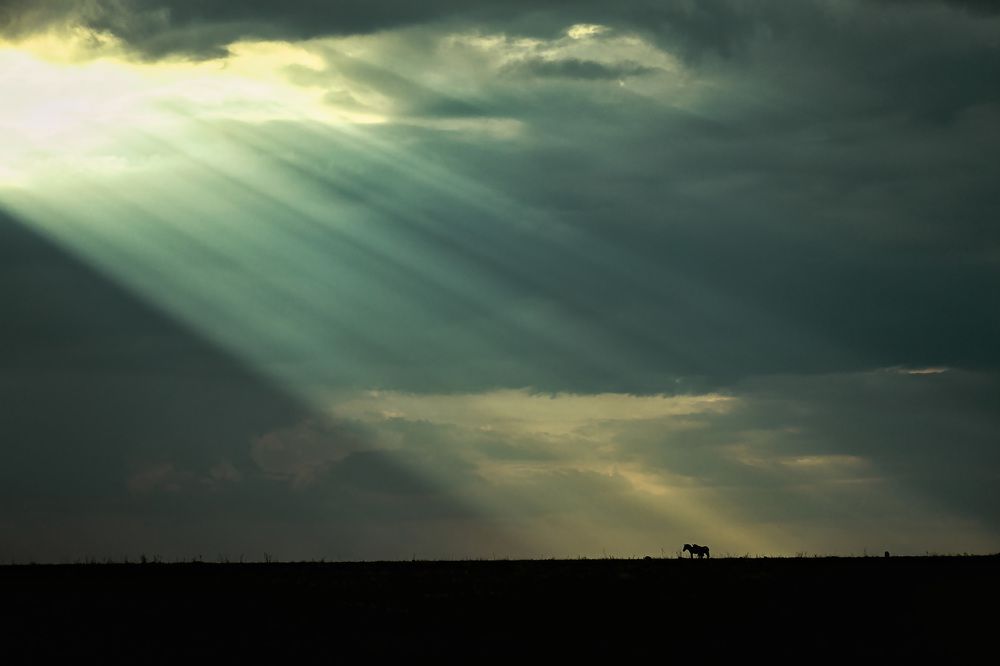 Фотография автора Sudipta Chakraborty