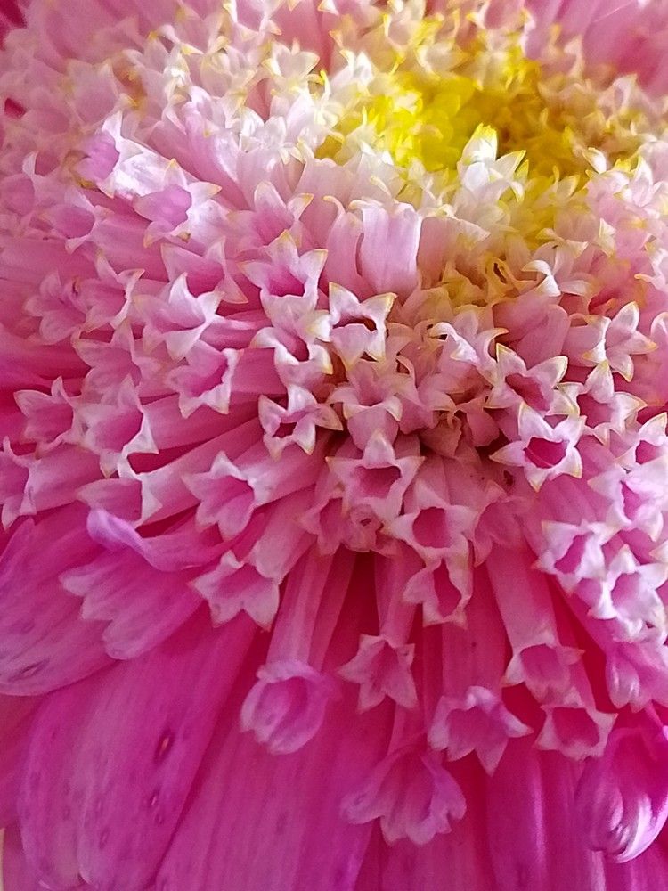 Photograph by Людмила Баглей