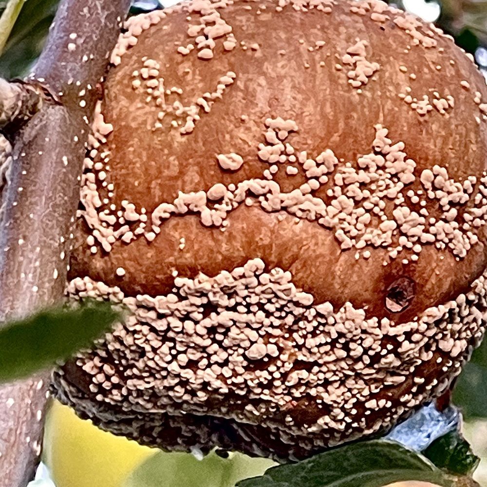 Photograph by Nadya Sterligova